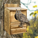 3D Wall Art: Owl Nesting Box Bird Feeder Paulownia Wood Acrylic