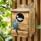 3D Wall Art: Owl Nesting Box Bird Feeder Paulownia Wood Acrylic