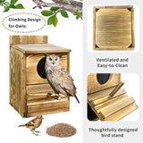 3D Wall Art: Owl Nesting Box Bird Feeder Paulownia Wood Acrylic