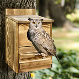 3D Wall Art: Owl Nesting Box Bird Feeder Paulownia Wood Acrylic