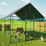 Small Animal Habitats & Cages: XL Chicken Coop 276x405x300cm Large Hen House Cage