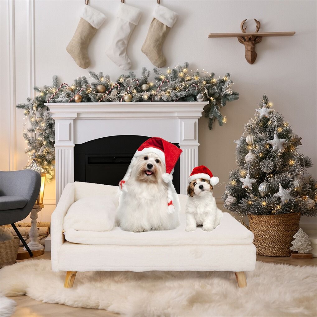 Arm Chairs & Recliners: Luxury Pet Sofa Bed 70cm Rectangular Soft Cushion Anti-skid