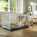 Coop & Hutch Accessories: Stainless Steel Chicken Coop XL House/Coop