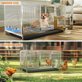 Coop & Hutch Accessories: Stainless Steel Chicken Coop XL House/Coop