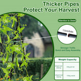 Fencing: XL Heavy Duty Garden Trellis for Climbing Plants with Netting