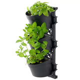Canopies & Gazebos: Tri vertical garden with 4 frames and 12 pots