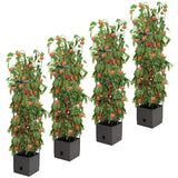 Building Toys: Tomato Tower With 3 Tier Frame 4 x Pack
