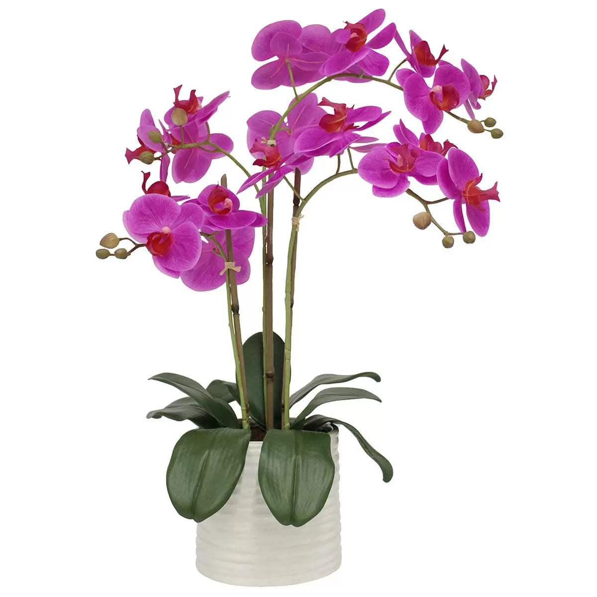Artificial Flowers & Plants: Artificial Orchid With Ribbed Pot 67cm Pink