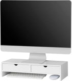 Desk Accessories: White Monitor Stand Desk Organizer with 2 Drawers