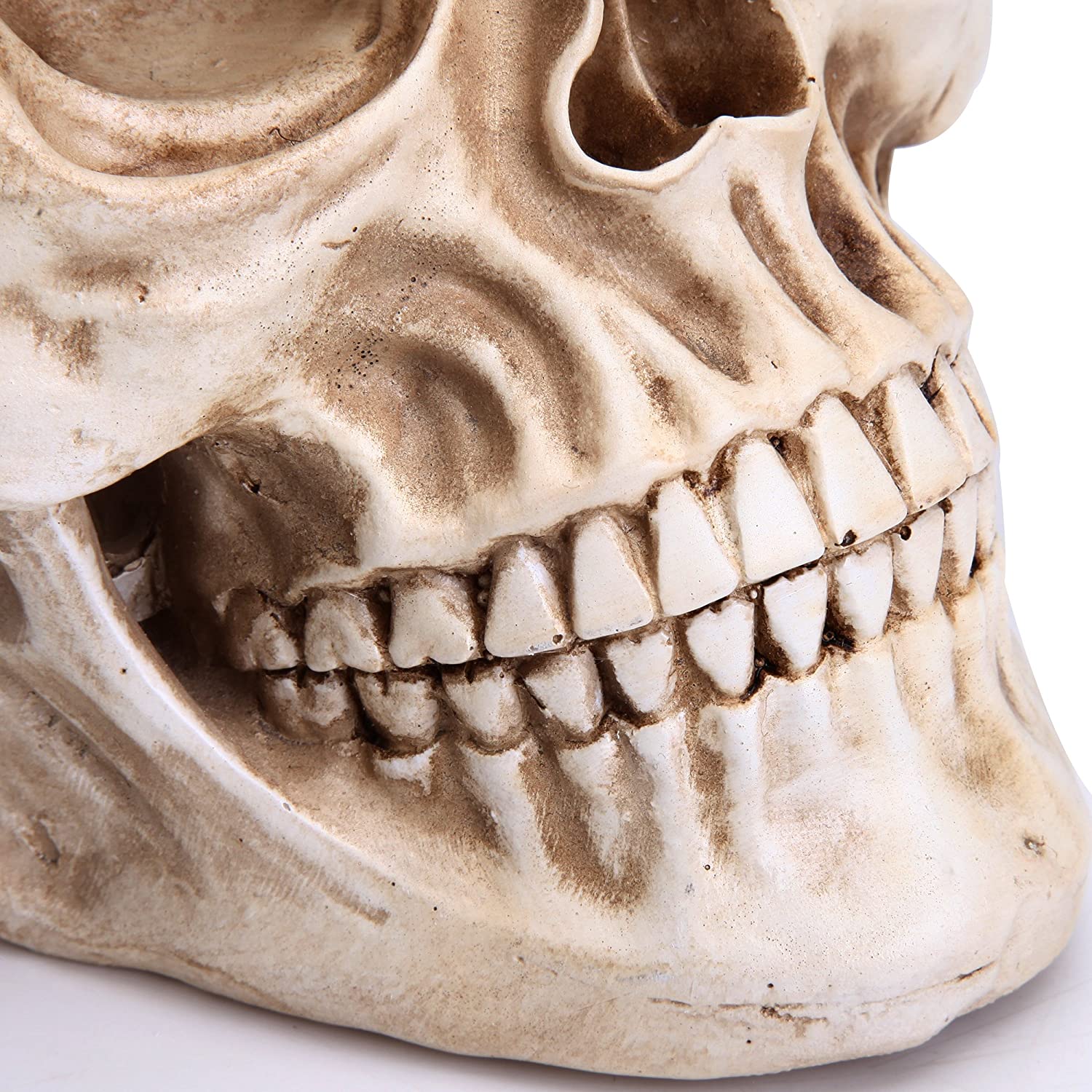 Dolls, Playsets & Toy Figures: 1:1 Replica Realistic Human Adult Skull Head Bone Model