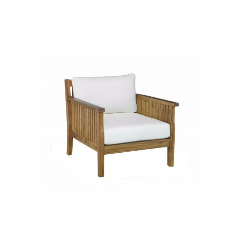 Arm Chairs & Recliners: Arizon Sofa Arm Chair
