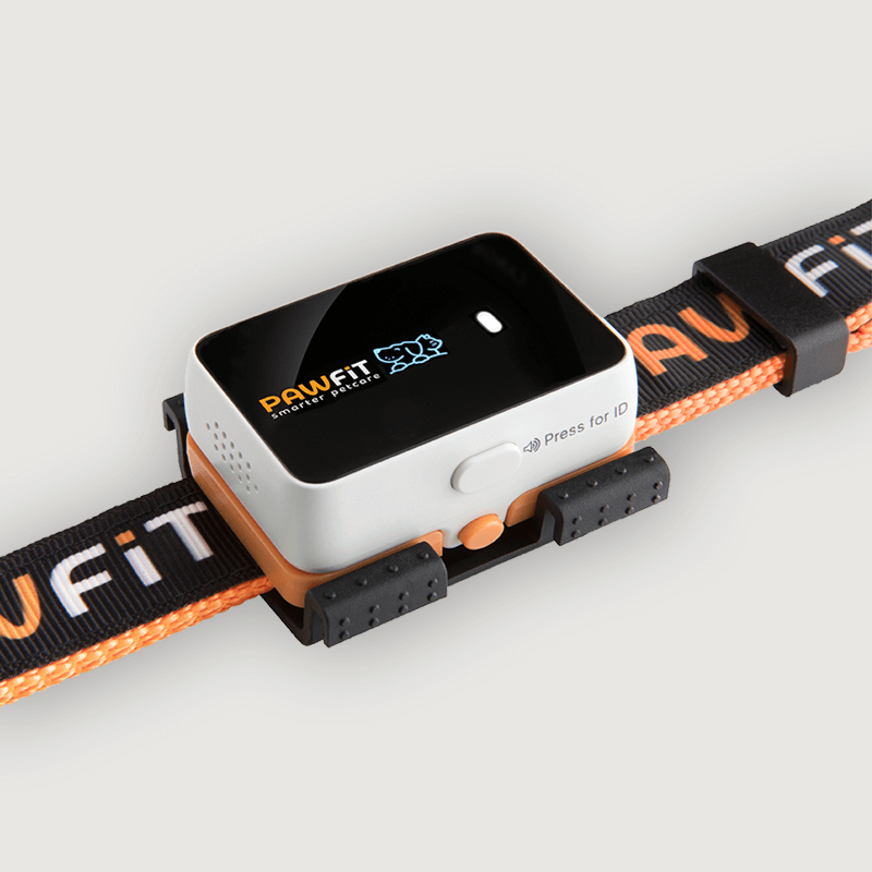 Automotive Parts: Pawfit 3 Tracker