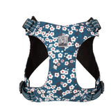 Automotive Repair & Speciality Tools: Floral Doggy Harness Saxony Blue XS