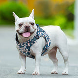 Automotive Repair & Speciality Tools: Floral Doggy Harness Saxony Blue XS