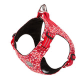 Automotive Repair & Speciality Tools: Floral Doggy Harness Red 3XS