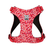 Automotive Repair & Speciality Tools: Floral Doggy Harness Red 3XS