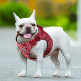 Automotive Repair & Speciality Tools: Floral Doggy Harness Red 3XS