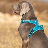 Automotive Repair & Speciality Tools: No Pull Harness Blue L