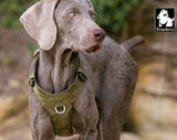 Automotive Repair & Speciality Tools: Lightweight Harness Army Green L