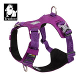 Automotive Repair & Speciality Tools: Lightweight Harness Purple XS