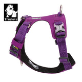 Automotive Repair & Speciality Tools: Lightweight Harness Purple XS