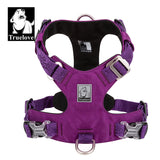 Automotive Repair & Speciality Tools: Lightweight Harness Purple XS