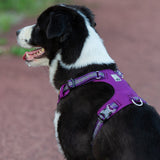 Automotive Repair & Speciality Tools: Lightweight 3M reflective Harness Purple L