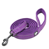 Cat Carriers & Crates: Reflective Pet Leash 2 meters Purple L