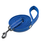 Cat Carriers & Crates: Reflective Pet Leash 2 meters Royal Blue L