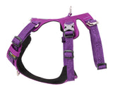 Automotive Repair & Speciality Tools: Whinhyepet Harness Purple XL