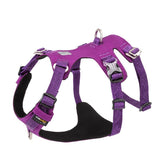 Automotive Repair & Speciality Tools: Whinhyepet Harness Purple XL