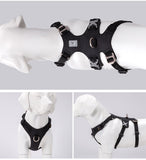 Automotive Repair & Speciality Tools: Whinhyepet Harness Black S