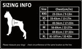 Automotive Repair & Speciality Tools: Whinhyepet Harness Black XL