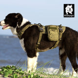 Automotive Repair & Speciality Tools: Whinhyepet Military Harness Army Green M