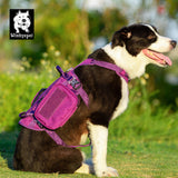 Automotive Repair & Speciality Tools: Whinhyepet Military Harness Purple L