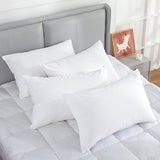 100 Percent Cotton Pillow Cover with 800g Poly Fill,  Hypoallergenic, Antibacterial, and Cooling Technology  4 PK