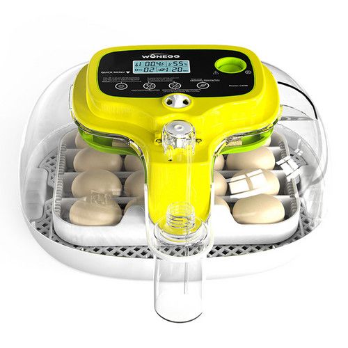 Automatic Egg Incubator 16-30 Eggs Chicken Duck Poultry Hatcher Breeder Candler