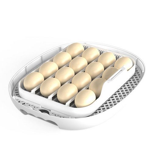 Automatic Egg Incubator 16-30 Eggs Chicken Duck Poultry Hatcher Breeder Candler