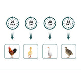 Small Animal Habitats & Cages: Digital Led Fully Automatic 25 Egg Incubator Hatch Turning Chicken Eggs Poultry