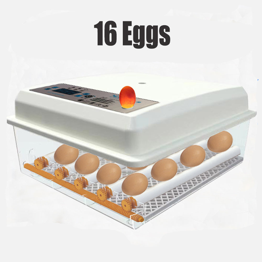 Spas & Accessories: 16 Egg Incubator Fully Automatic Digital Thermostat Chicken Eggs Poultry