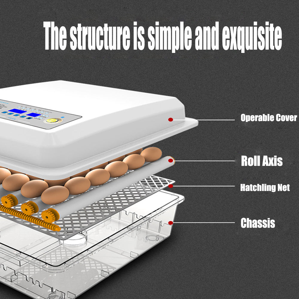Spas & Accessories: 16 Egg Incubator Fully Automatic Digital Thermostat Chicken Eggs Poultry