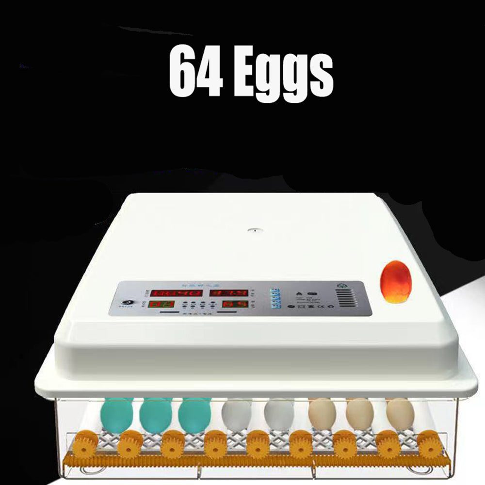 Small Animal Habitats & Cages: 64 Egg Incubator Fully Automatic Digital Thermostat Chicken Eggs Poultry