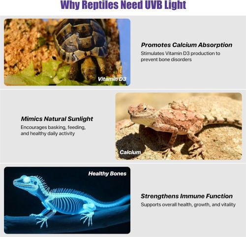 40cm Adjustable Reptile 5.0UVA UVB Lamps LED Light for Reptile Tanks Pet Lighting System