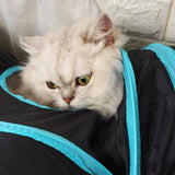 Cat Furniture: Pet Cat Kitten Puppy 4-Way Tunnel Play Toy Foldable Funny Exercise Tunnel Rabbit