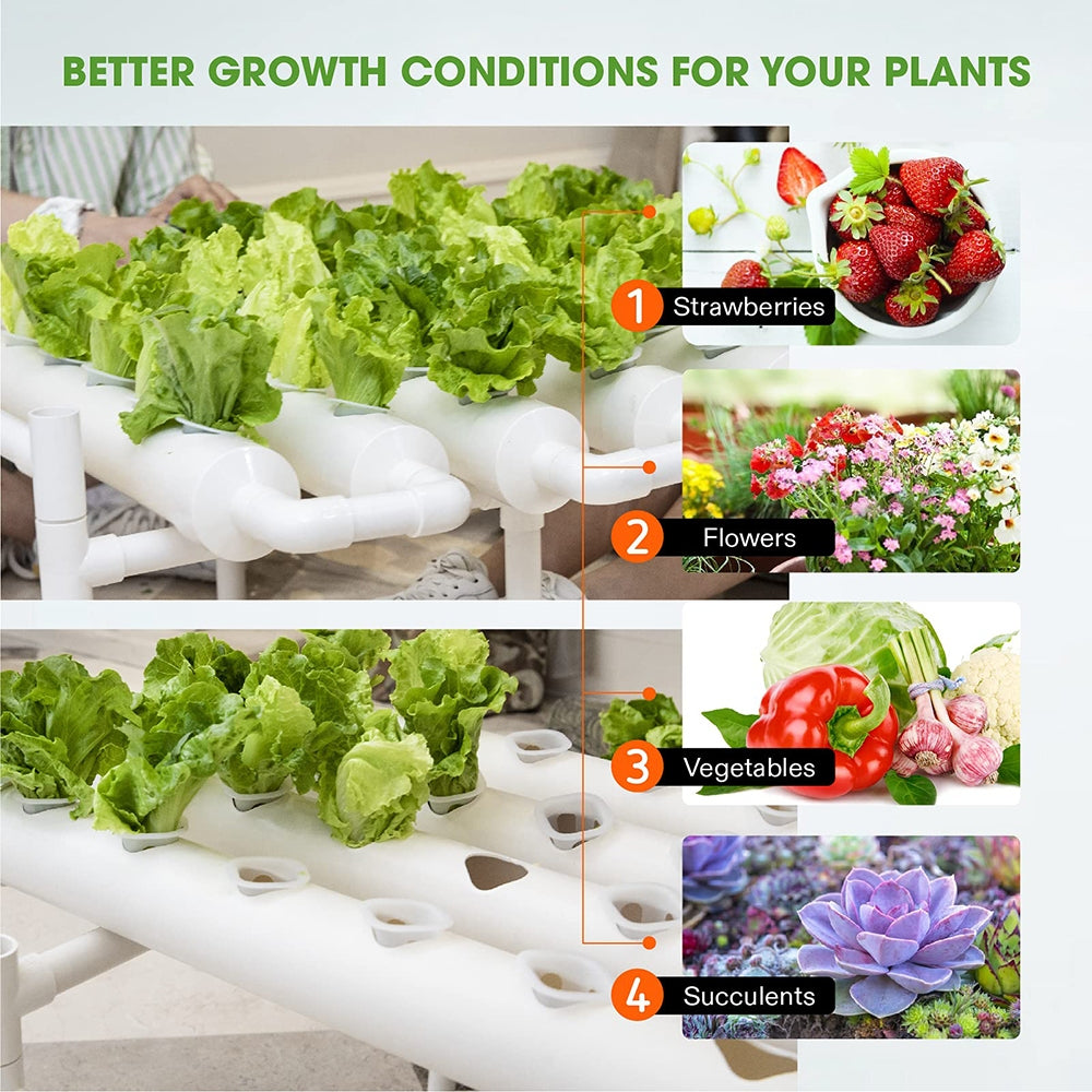 Gardening Accessories: 36 Sites Hydroponic Grow Tool Kits Vegetable Garden System 220V Water Pump