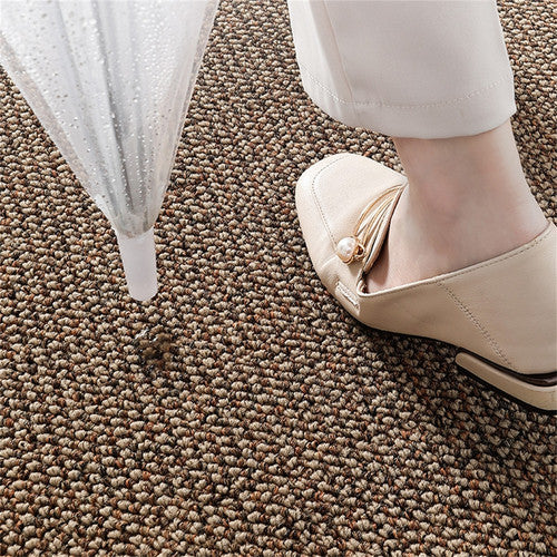 Door Mats: Premium Entrance Door Carpet 120x80cm Sole Cleaning Mats Sand and Dust Removal Washable