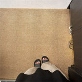 Door Mats: Ordinary Entrance Door Carpet 120x80cm Sole Cleaning Mats Sand and Dust Removal Washable