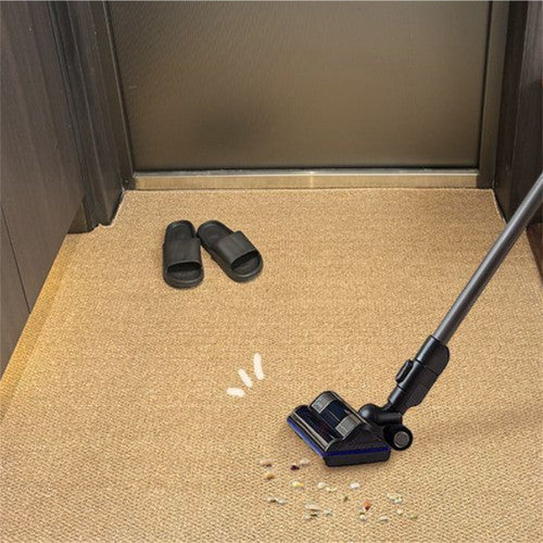 Door Mats: Ordinary Entrance Door Carpet 120x80cm Sole Cleaning Mats Sand and Dust Removal Washable