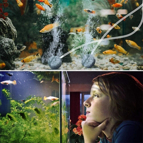 Aquarium Filters & Pumps: Solar Pond Pump Air Pump Solar Powered Pool Fish Tank Oxygenator Oxygen Aerator