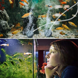 Aquarium Filters & Pumps: Solar Pond Pump Air Pump Solar Powered Pool Fish Tank Oxygenator Oxygen Aerator